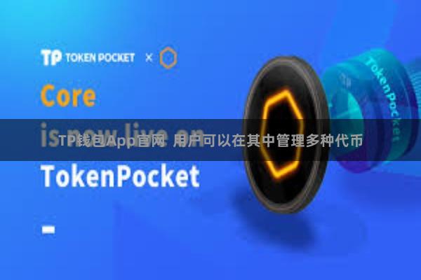 TP钱包App官网 用户可以在其中管理多种代币