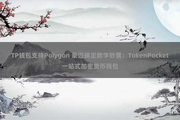 TP钱包支持Polygon 豪迈搞定数字钞票：TokenPocket一站式加密货币钱包