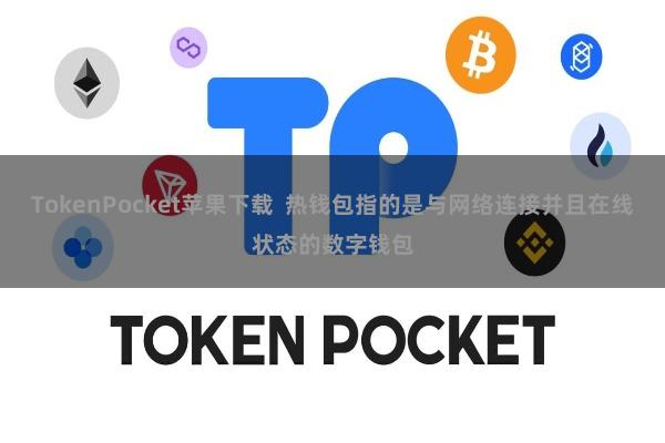TokenPocket苹果下载  热钱包指的是与网络连接并且在线状态的数字钱包